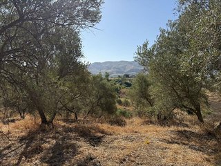 Terreno en venta en Álora