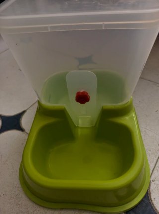 Comedero para perros verde