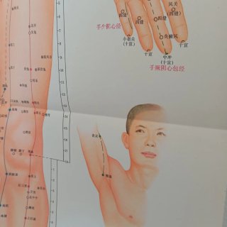 Póster XXL Vintage Anatomia Umana