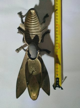 Mosca in Ottone