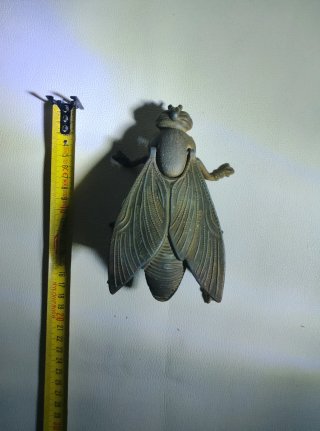 Mosca in Ottone