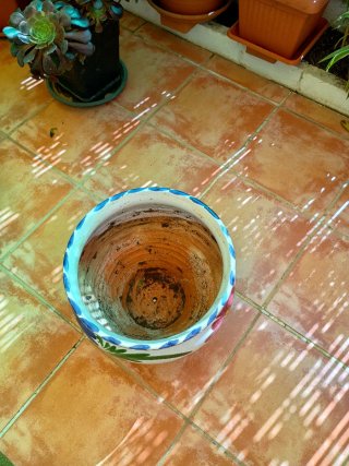 Maceta y plato cerámica pintada flores. Diámetro35
