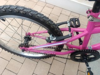 Bicicleta niña rosa First