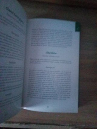 Libro Diccionario practico de platas y jardines