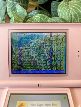 Nintendo DS Lite Rosa