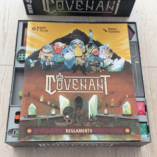 Inserto Organizador Covenant