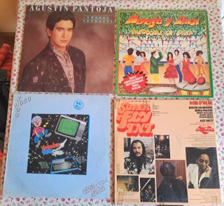 Lote 16 Vinilos Variados