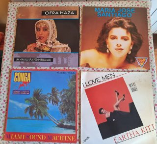 Lote 16 Vinilos Variados