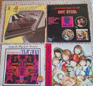 Lote 16 Vinilos Variados