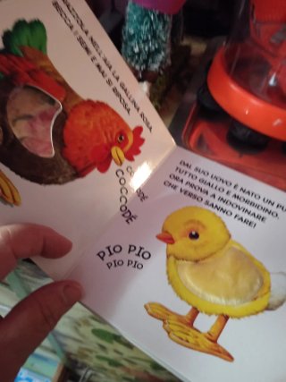 Libricino per bambini, gli animali