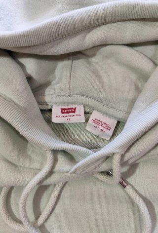 Sudadera Hoodie Capucha Levi's Verde Claro Hombre