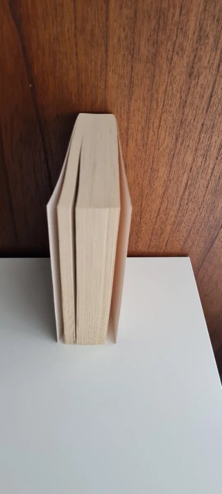 La ladrona de libros / The Book Thief