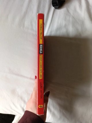 Podrás dibujar manga cuando acabes este libro