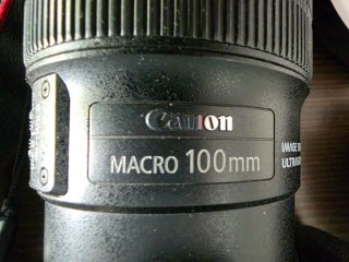 Canon EOS 600D + Objetivo Macro 100mm