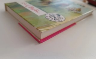 Libro Los cinco van de camping  (1986)