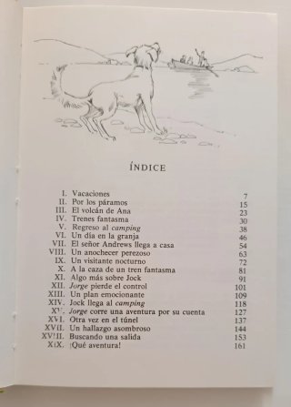 Libro Los cinco van de camping  (1986)