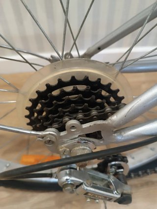 Bicicleta Plegable 20 pulgadas gris