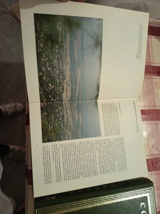 Libros historia de cordoba . Ediciones gever s.l
