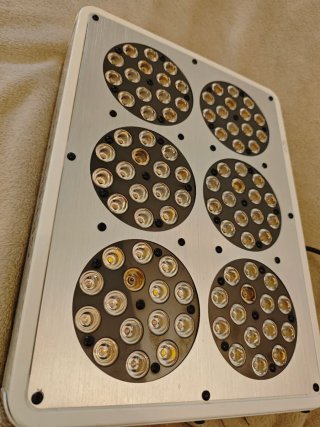 Foco LED Grow Apollo 6 (210W) - Cultivo Interior