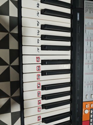 Teclado Yamaha Órgano/Piano PSR F51