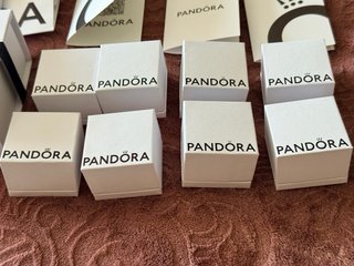Lote Cajas y Bolsas Pandora Blancas