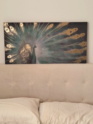 Cuadro de pavo real 90x45