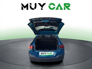 Citroen C4 Cactus PureTech 110 S&S Feel 81 kW (110 CV)