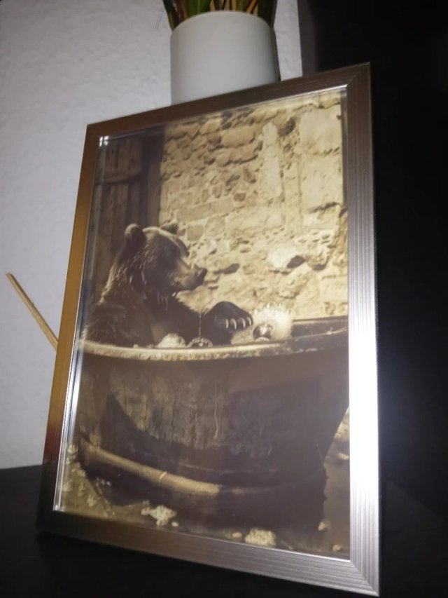 Cuadro Oso en Bañera Antigua