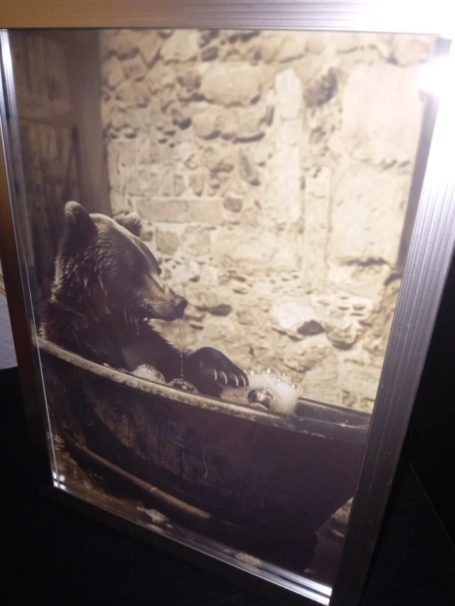 Cuadro Oso en Bañera Antigua