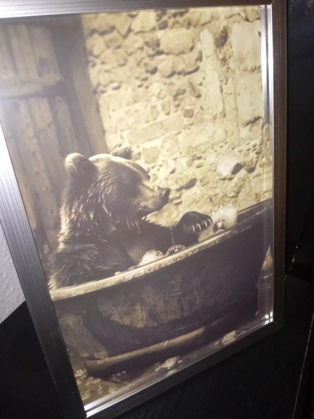 Cuadro Oso en Bañera Antigua
