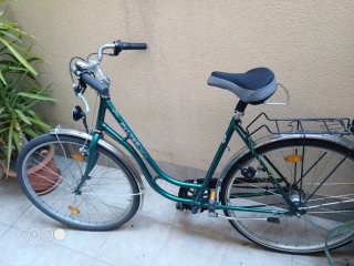 Bicicleta Clásica Verde