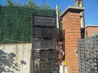 Caja de plástico negra para contenedor
