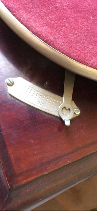Grammofono a tromba riproduzione + dischi
