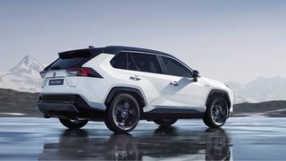 Bandeja maletero Toyota Rav 4