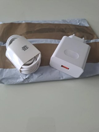 Cargador 66W y Cable USB