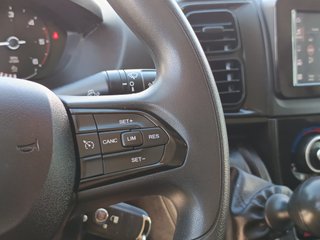 FIAT DUCATO PAQUETERO TRAMPILLA 140 CV