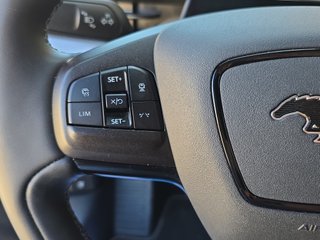 Ford Mustang Mach-E AWD 358kW Batería 98.8Kwh GT