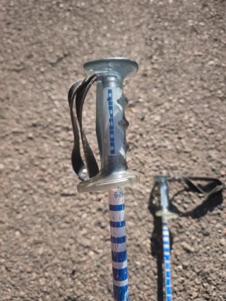 Palos de esquí