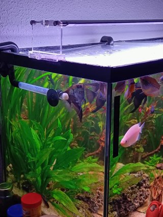 Acuario 200L con Mueble