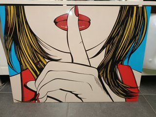 Cuadro Pop Art Mujer Silencio