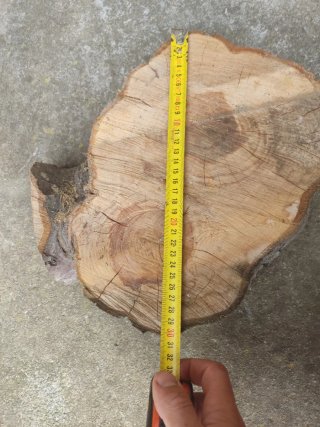Rodaja de madera de manzano