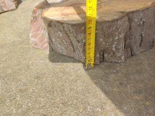 Rodaja de madera de manzano