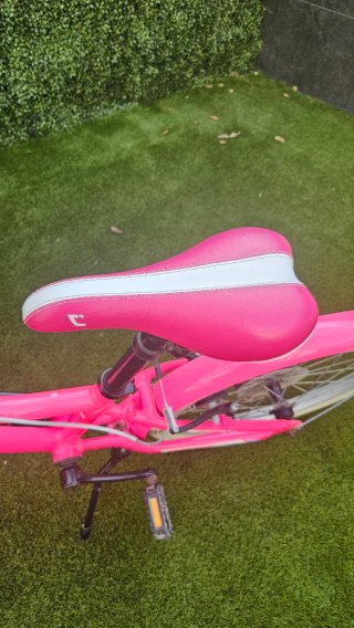 Bicicleta Conor Halebop 20" Rosa