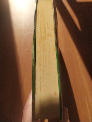 The Serpent's Shadow