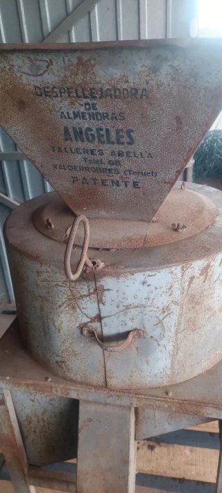 Peladora de almendras industrial