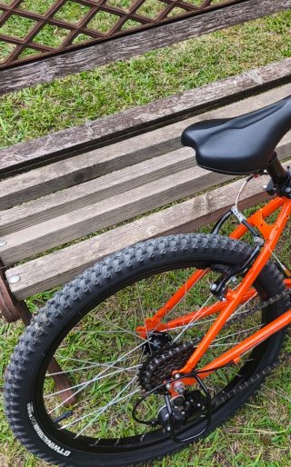 Bicicleta infantil 20 pulgadas
