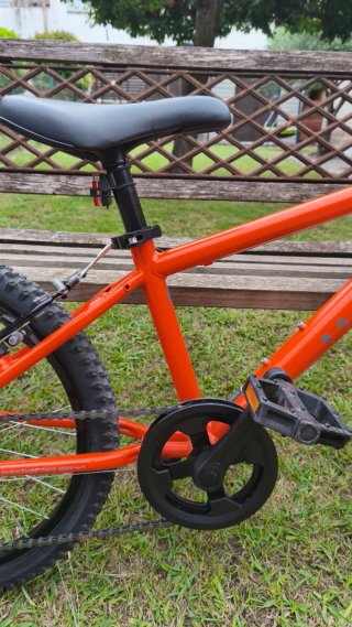 Bicicleta infantil 20 pulgadas