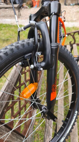 Bicicleta infantil 20 pulgadas