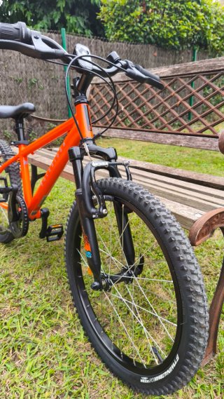 Bicicleta infantil 20 pulgadas