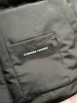 Smanicato Canada Goose